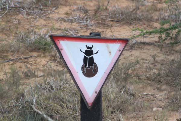 CC 2012 Impressionen 019